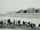 CABOURG  (Calvados) -- La Pêche à L'Equille - TRES ANIMEE - Cabourg