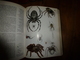 Delcampe - LE MONDE ANIMAL - Encyclopédie De La Vie Des Bêtes -  En 13 Volumes + Index - Encyclopédies