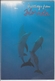 DOLPHINS In Florida,  Delphine Delfin  Large Format - Delphine