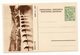 1956, YUGOSLAVIA,, VISEGRAD, BRIDGE, BOSNIA, 10 DINARA GREEN, ILLUSTRATED STATIONERY CARD, MINT - Postal Stationery