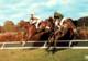 CPM - CHEVAL - HIPPODROME De DEAUVILLE - Le Champ De Courses - Horse Show