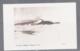 ANTARCTICA - USA- 1934 -BYRD EXPEDITION WHALE POSTCARD CARRIED ON ICEBREAKER TO LITTLE AMERICA,CAPTAIN SIGNED - Autres & Non Classés