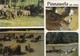 Postcard Elephant Orphanage & Captive Breeding Centre Pinnawela Sri Lanka [ Elephant Interest ] My Ref  B23514 - Elephants