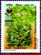 Ref. BR-3050 BRAZIL 2008 FLOWERS, PLANTS, BOTANICAL GARDEN OF RIO,, MEDICINAL POLULAR HERBS, MNH 1V Sc# 3050 - Médecine