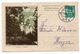 1938 OPLENAC, ROYAL CHURCH, SERBIA, YUGOSLAVIA, ILLUSTRATED STATIONERY CARD, USED - Postal Stationery