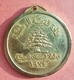 Lebanon 1974 Beautiful Medal, Ministry Of Sports & Youth, Schools Championship - Gold Plated - Other & Unclassified