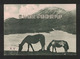 Japan 1953.11.20 Unzen National Park - Neufs