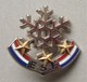 - Broche. Insigne. Ski. ESF - 3 étoiles - - Winter Sports