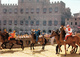 Postcard Of Ed M Romboni - Siena (7419) - Horses