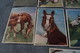 Delcampe - Superbe Lot Collection De 14 Cartes Avec Chevaux,RARE Pour Collection,collector - Chevaux