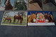 Delcampe - Superbe Lot Collection De 14 Cartes Avec Chevaux,RARE Pour Collection,collector - Chevaux