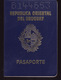 PASSPORT - PASSEPORT - PASAPORTE- PASSAPORTO - URUGUAY  - VISAS / TURKEY /EEUU - Documenti Storici