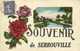 Fantaisie SOUVENIR De SERROUVILLE  + Timbre 40x Beau Cachet Serrouville RV - Autres & Non Classés