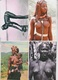 Delcampe - Lot - Photo Afrique  - Reproduction - NU ETHNIQUE  -  152X113 - 50 Vues - Voir Scans - Völker & Typen