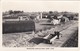 CARTOLINA - POSTCARD - AUSTRALIA - MELBOURNE - AGRICULTURAL CAMP.YORK - Melbourne