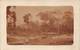 Congo Belge Postcard Jungle Logs Work Rail Sepia Real Photo - Non Classés