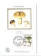 CARTE MAXIMUM 1987 SERIE CHAMPIGNONS - 1980-1989