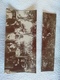 Delcampe - Ancien Album Photos D'une Famille / Bord De Mer / Montagne / Enfants Divers 81 Photos Fin XIXe Anonymes 100% D'origine - Anciennes (Av. 1900)