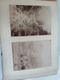 Delcampe - Ancien Album Photos D'une Famille / Bord De Mer / Montagne / Enfants Divers 81 Photos Fin XIXe Anonymes 100% D'origine - Anciennes (Av. 1900)