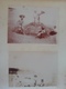 Delcampe - Ancien Album Photos D'une Famille / Bord De Mer / Montagne / Enfants Divers 81 Photos Fin XIXe Anonymes 100% D'origine - Anciennes (Av. 1900)