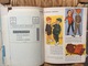 Delcampe - DOCUMENT COMMERCIALE CATALOGUE  ROOS/ATKINS  GIFT BOOK California  USA  Year 1961 - Estados Unidos