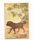 National Palace Museum,Taipei.One Of The Ten Prized Dogs.Carte 18 Cm X 12 Cm - Taiwan