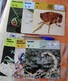 Lot De 6 Cartes Insectes éditions Rencontre 1975-1976 - Scorpion - Animales