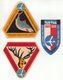 AVIATION : POLOGNE . LOT . - Baggage Labels & Tags