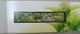 2009 Singapore. 150 Years Of Botanical Garden. Presentation Pack. MNH - Altri & Non Classificati