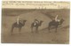 CARTE POSTALE / TOUAREGS DANS LES DUNES / LAGHOUAT ALGERIE 1914 POUR LA SUISSE - Scènes & Types