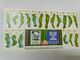 Malaysia 1999 MS MNH Golf With Book Photo Complete With Folder & FDC Rare Item - Malaysia (1964-...)