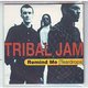 TRIBAL JAM   °  COLLECTION DE 3 CD SINGLE - Volledige Verzamelingen