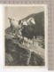 Chèvre / Ziege / Goat / Capra (1928) - Autres & Non Classés