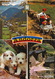 Andorra  Arinsal Canillo  Chiens Des Pyrénées  Timbrée 1987 2 Timbres - Andorre