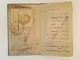 Judaica Israel Jewish Women Passport Reisepass 1955 Juif - Historical Documents