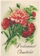 Postal Stationery - Flowers - Carnations - Red Cross 1993 - Suomi Finland - Postage Paid - Interi Postali