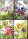 UKRAINE 2018. MEDICAL AND MELLIFEROUS PLANTS. Set Of 4 Stamps Mi-Nr. 1700-03. MAXICARDS - CARTES MAXIMUM - Ukraine