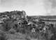 24-CASTELNAUD-FAYRAC- VUE GENERALE ET LA DORDOGNE - Autres & Non Classés