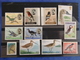 Delcampe - LIQUIDATION COLLECTION SUR LES OISEAUX MAJORITE NEUFS - Collections, Lots & Séries