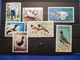 Delcampe - LIQUIDATION COLLECTION SUR LES OISEAUX MAJORITE NEUFS - Collections, Lots & Séries