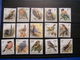 Delcampe - LIQUIDATION COLLECTION SUR LES OISEAUX MAJORITE NEUFS - Collections, Lots & Séries