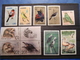 Delcampe - LIQUIDATION COLLECTION SUR LES OISEAUX MAJORITE NEUFS - Collections, Lots & Séries