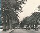 SIDI-BEL-ABBES Le Boulevard De La République Jeep Hotchkiss Photo Véritable Circulé 1960 - Sidi-bel-Abbès