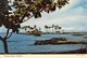 0386 "SCENIC COCCONUT ISLAND INHILO BAY , ISLAND OF HAWAII - HAWAII" CART. ORIG. SPED. 1972 - Hilo