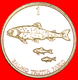 + FISH: SLOVENIA ★ 1 TOLAR 1998 MINT LUSTER! LOW START ★ NO RESERVE! - Slowenien