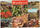 Madeira - Multiview - Plants, Flowers Etc. - Madeira