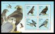 IRELAND 2010 BIRDS BUZZARD EAGLE FALCON MERLIN SET & M/SHEET MNH - Neufs