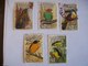 Trinité Et Tobago:  Timbres N° 654 à 658 (YT) Oblitérés (oiseaux) - Trinidad Y Tobago (1962-...)