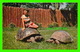 MONTRÉAL, QUÉBEC - TORTUES DES ÎLE GALAPAGOS AU JARDIN DES MERVEILLES DU PARC LAFONTAINE - SOUVENIR AGENCIES - - Montreal