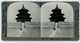 Delcampe - CHINA & KOREA ~ Private Collection Of (51) Stereoviews In Near Mint Condition - Stereoscopio